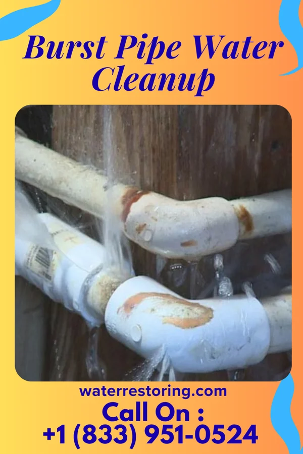 Burst Pipe Water Cleanup in Minot, ND